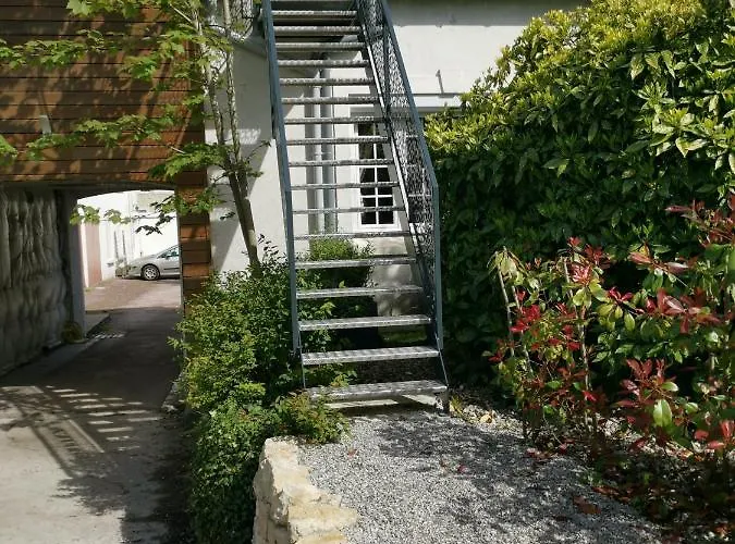 L'atelier Les Hortensias Marquise