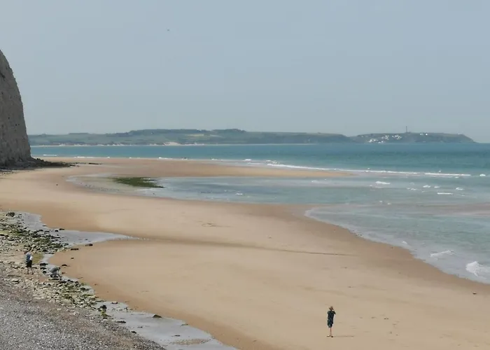 L'atelier Les Hortensias * Marquise