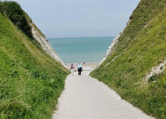 L'atelier Les Hortensias * Marquise