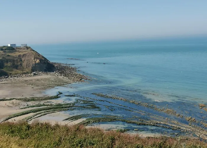 L'atelier Les Hortensias *