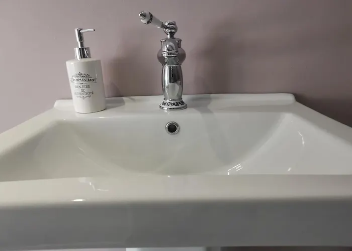 L'atelier Les Hortensias Hébergement de vacances